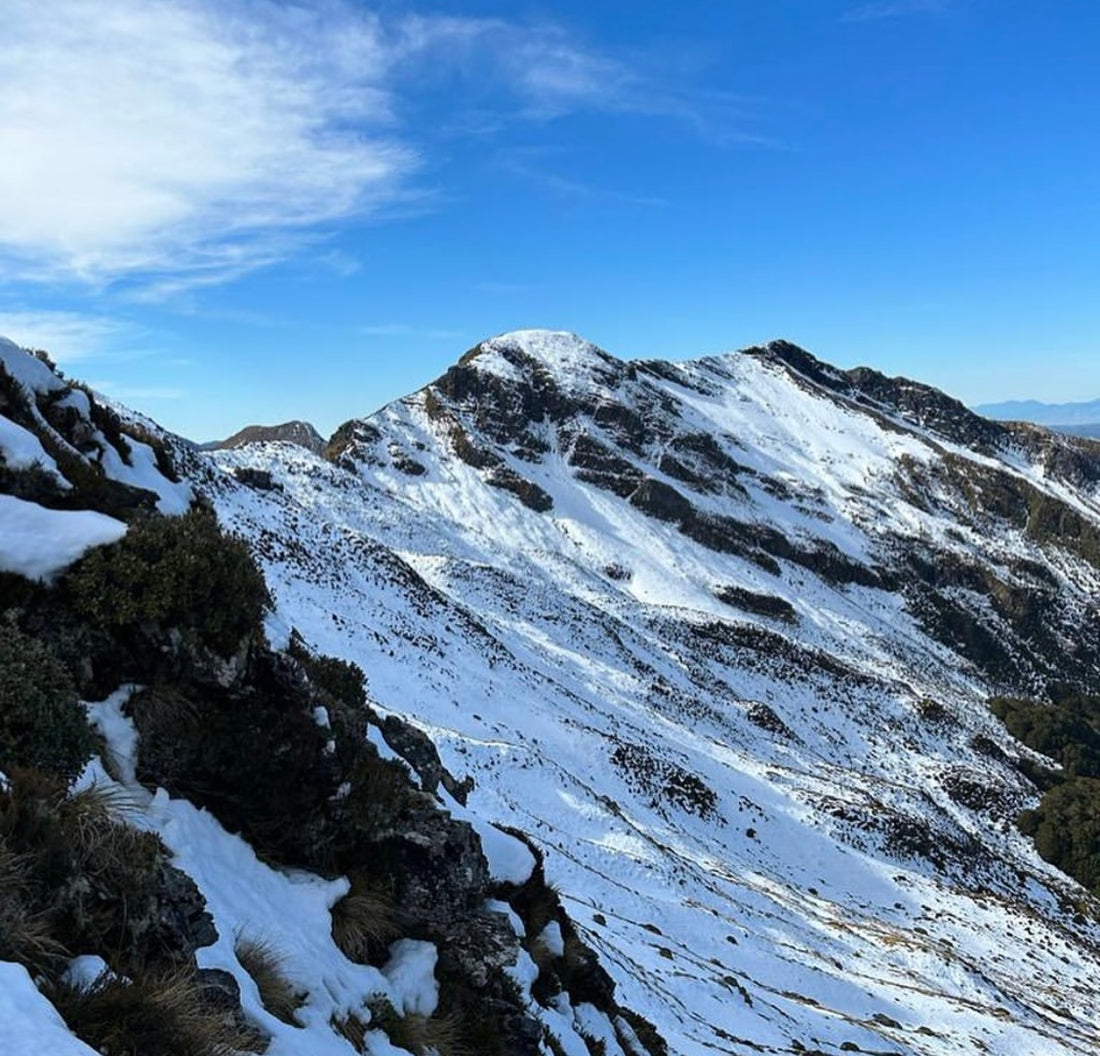 Kiwi Saddle Hut Track in the Kahurangi national park