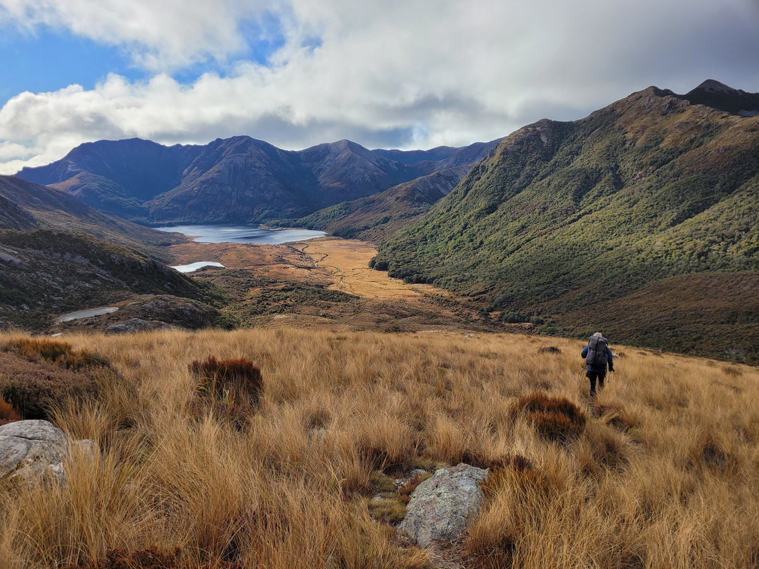 Hike to Boulder Lake Hut, Kahurangi National Park