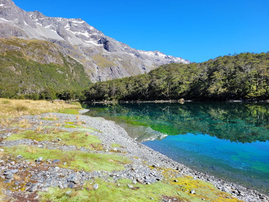 Hike to Blue Lake, Nelson Lakes National Park