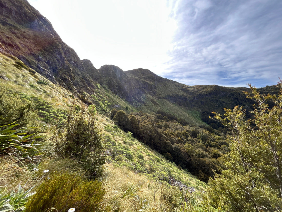 Hike up Klondyke Valley, Victoria Forest Park