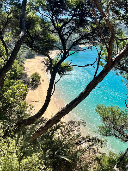 Hike to Gibbs Hill, Abel Tasman National Park