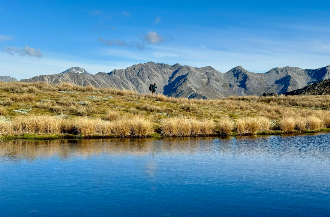 Hike up the Mole Tops, Nelson Lakes National Park