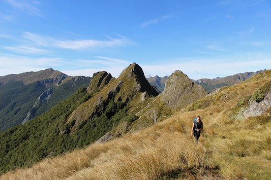 Hike along the Kakapo Ridge in the Kahurangi National Park