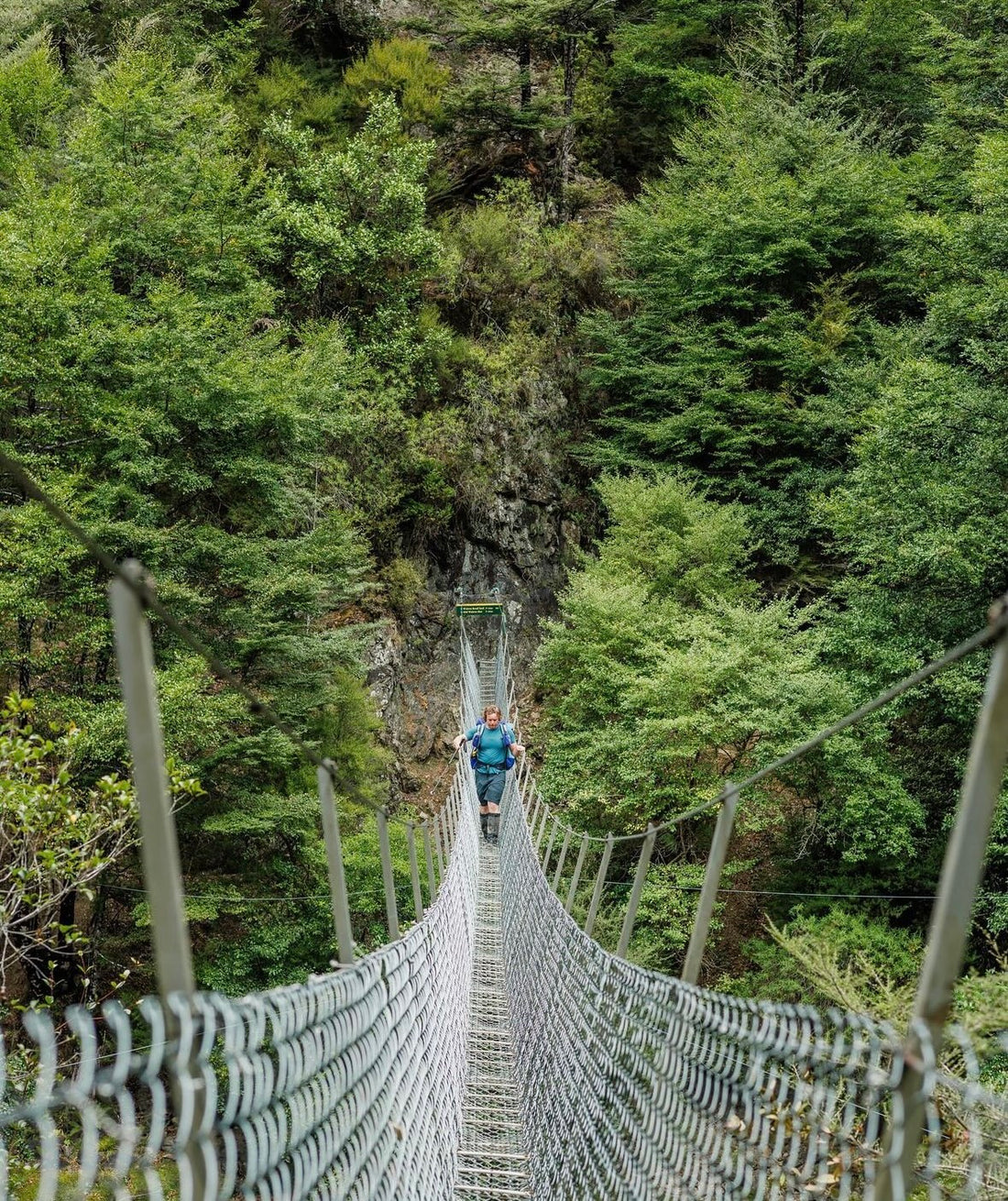 mid wairoa hut in the wairoa gorge is a great overnight hike