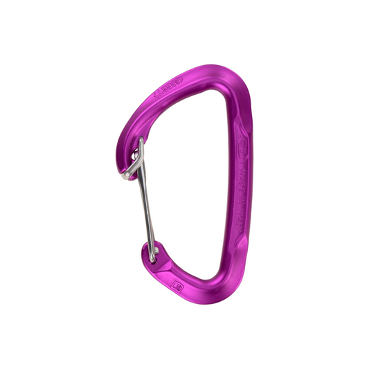 CT Berry Wire Gate Carabiner