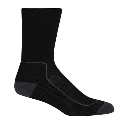 Icebreaker Hike+ Medium Cushion Crew Merino Socks - Women's